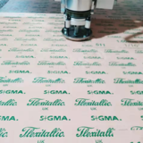 Singao511改性四氟